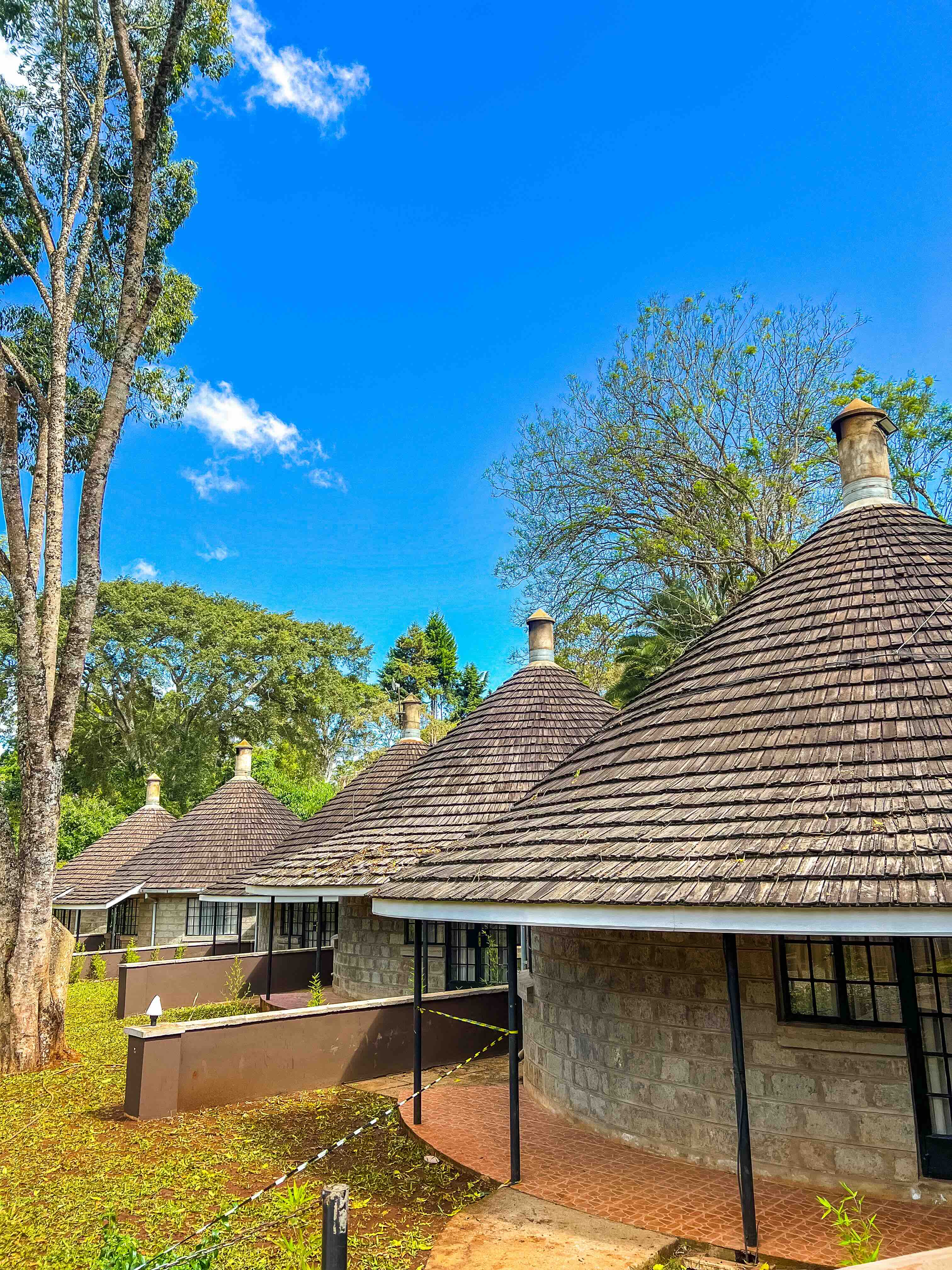 Which Are The Best Agro-Tourism Tea Farms To Visit In Kenya?